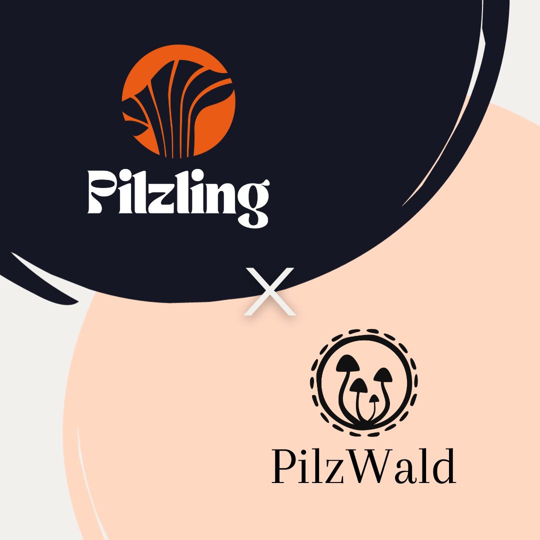 Drei Marken unter einem Dach: Pilzling, PilzWald und Shroom Boom nach der Fusion 2023